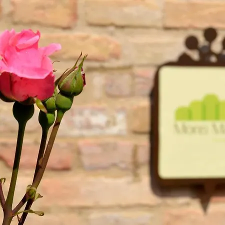 Mons Major Relais * Montemaggiore al Metauro