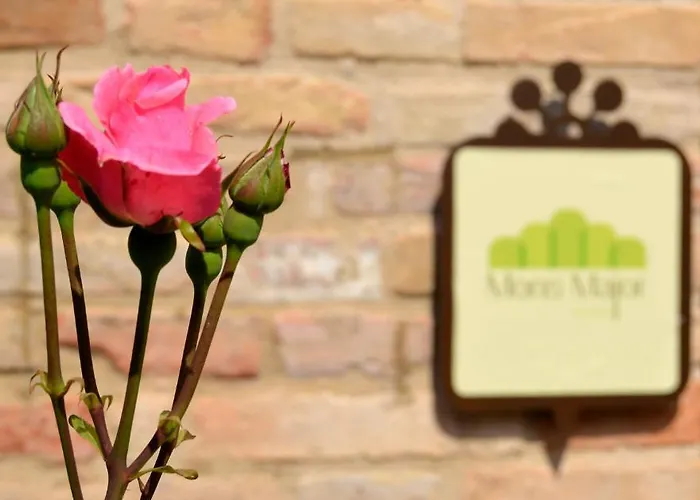 Mons Major Relais * Montemaggiore al Metauro